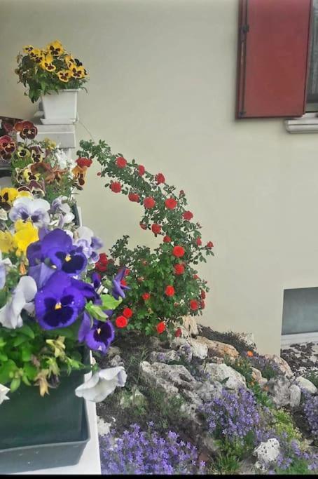 Villa Ama Порденоне Экстерьер фото
