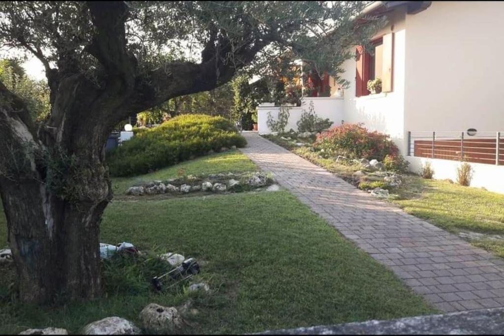 Villa Ama Порденоне Экстерьер фото