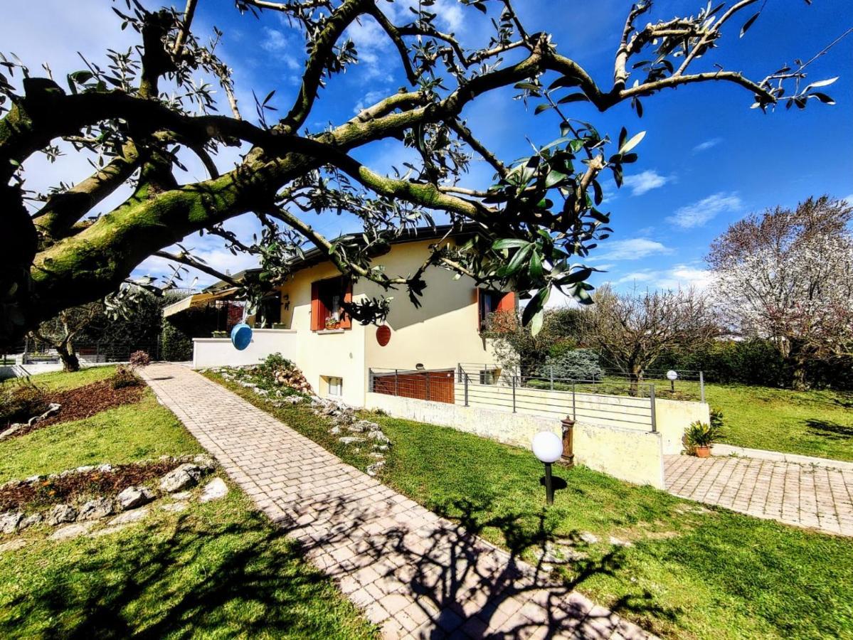 Villa Ama Порденоне Экстерьер фото
