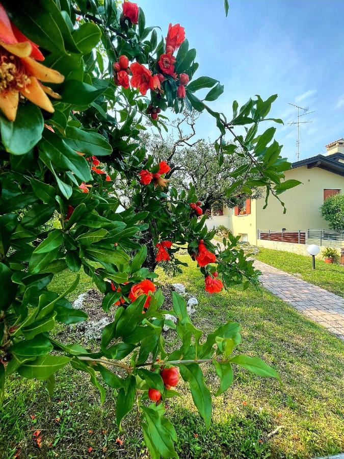 Villa Ama Порденоне Экстерьер фото